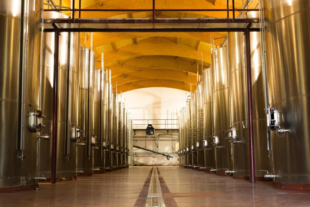 Hotel Torremilanos Aranda de Duero Eksteriør bilde